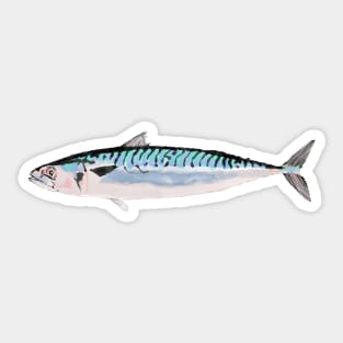 Mackerel Sticker